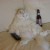 lazycat